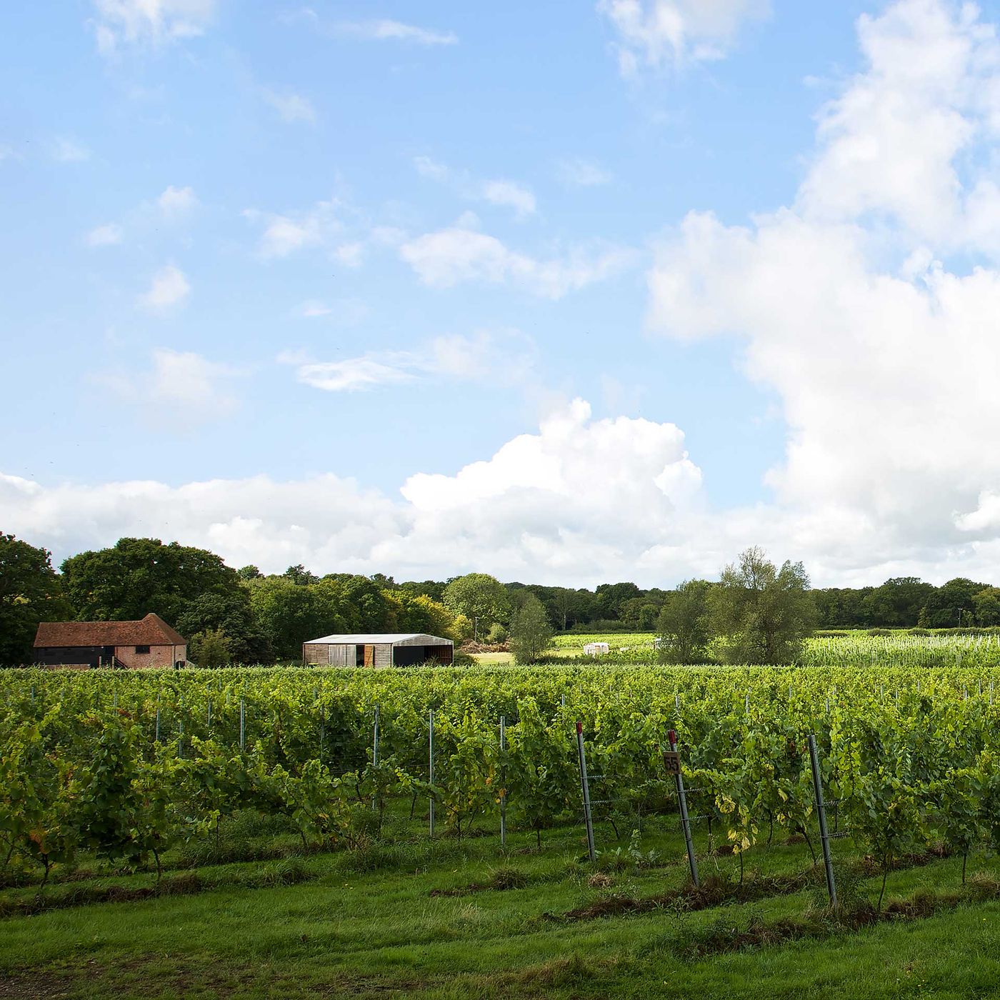 Oxney Organic Estate