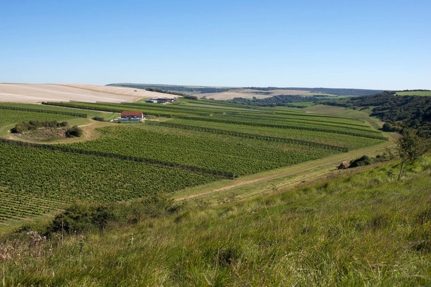 Rathfinny Wine Estate