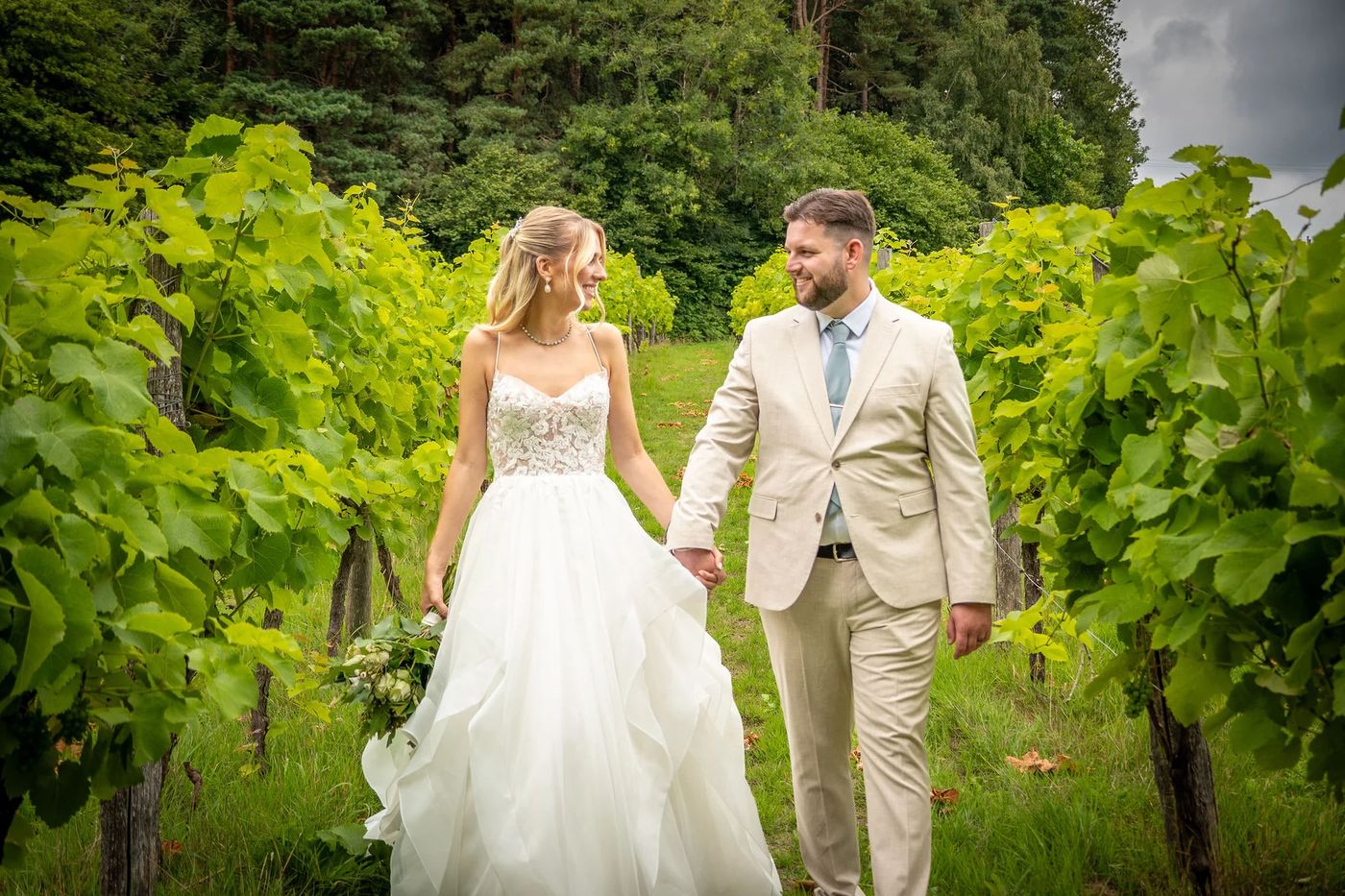 Sedlescombe Organic Vineyard